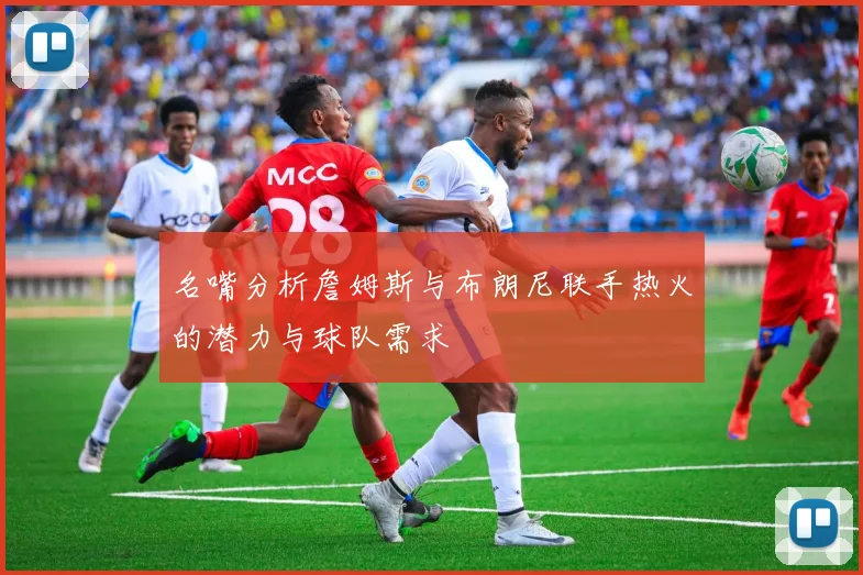 名嘴分析詹姆斯与布朗尼联手热火的潜力与球队需求