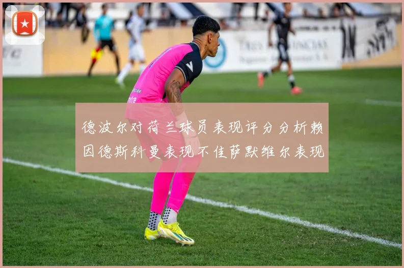 德波尔对荷兰球员表现评分分析赖因德斯科曼表现不佳萨默维尔表现出色